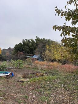 里山 秋,自然,里山の写真素材