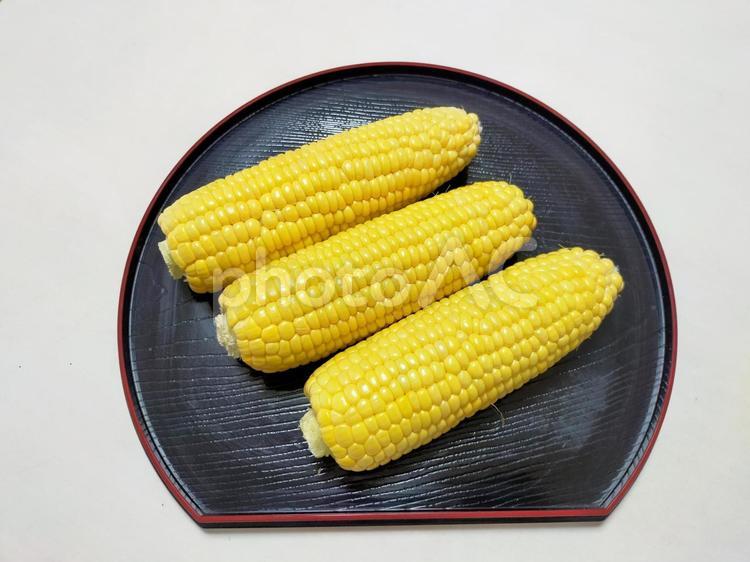 採れたてのとうもろこし とうもろこし,トウモロコシ,とうきびの写真素材