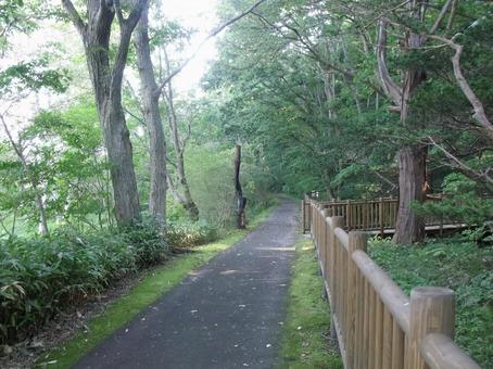 函館・見晴らし公園の遊歩道 函館・見晴らし公園の遊歩道 見晴し公園,函館,公園の写真素材