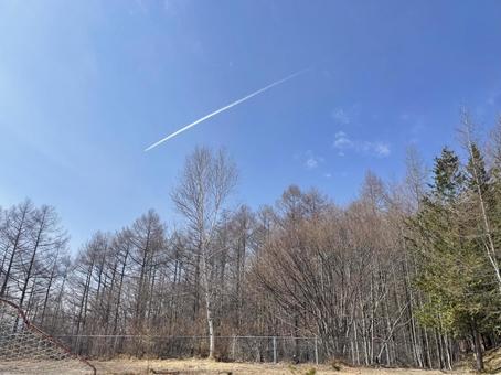 飛行機雲 飛行機雲 飛行機雲,晴天,空の写真素材