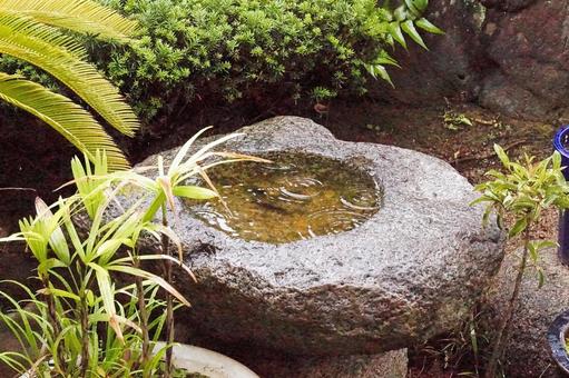 雨の手水鉢 手水鉢,手洗い,水瓶の写真素材