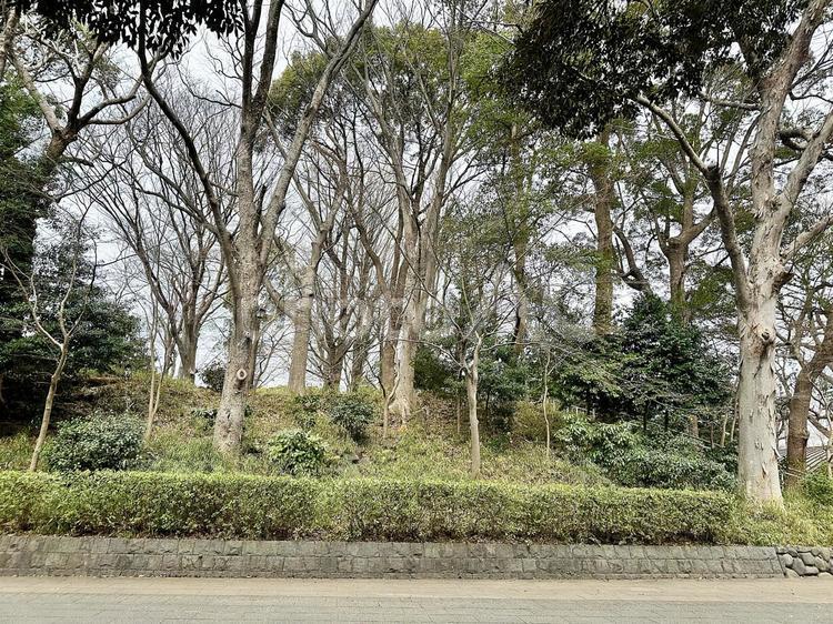 上野恩賜公園　上野公園　冬の公園　冬 上野恩賜公園,上野公園,冬の公園の写真素材