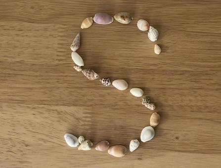 貝殻　アルファベット　Ｓ 貝殻,s,アルファベットの写真素材