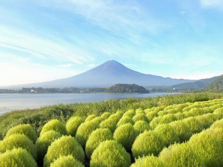 夏の富士山と河口湖 夏の富士山と河口湖 富士山,河口湖,富士五湖の写真素材