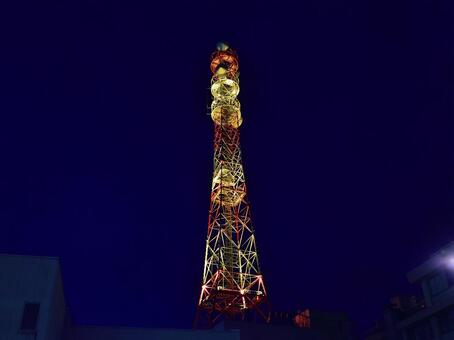 ライトアップ ライトアップの写真