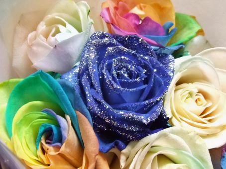 レインボーローズ カラフルな薔薇2 レインボーローズ カラフルな薔薇2 レインボーローズ,薔薇,カラフルの写真素材
