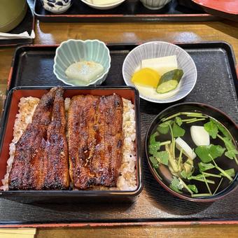 鰻重 鰻重 鰻重,鰻,土用の丑の写真素材