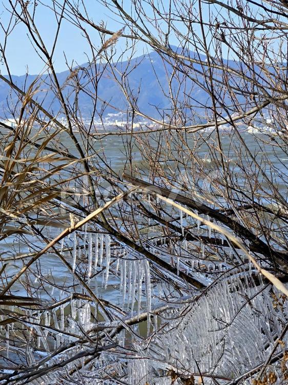 琵琶湖のしぶき氷 しぶき氷,氷の造形,氷の写真素材