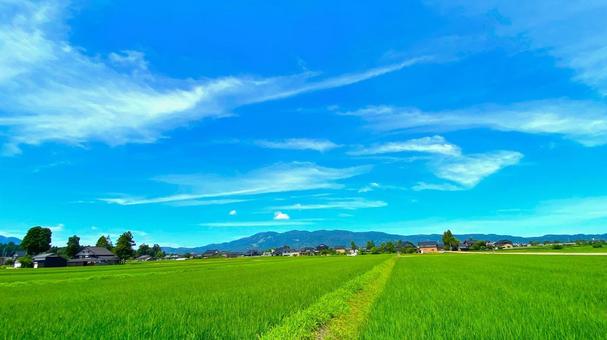 夏の田園風景(富山・南砺市):1 夏の田園風景(富山・南砺市):1の写真