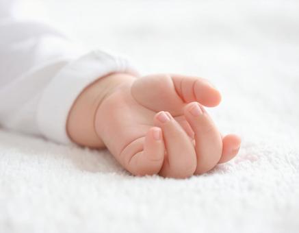 赤ちゃんの手の写真