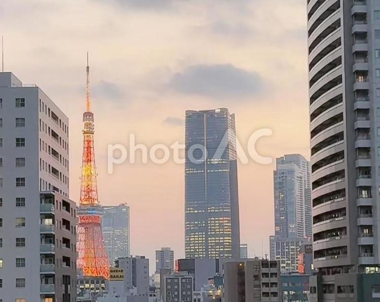 夕方の東京タワーとビル 東京タワー,ビル群,夕焼けの写真素材