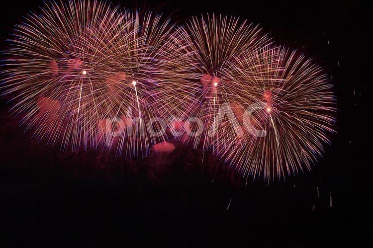 25年長岡まつり　花火 夜空,花火,風景の写真素材