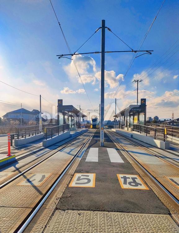 2025.2月小学校前！夕方。あっ来た! lrt,宇都宮,芳賀の写真素材