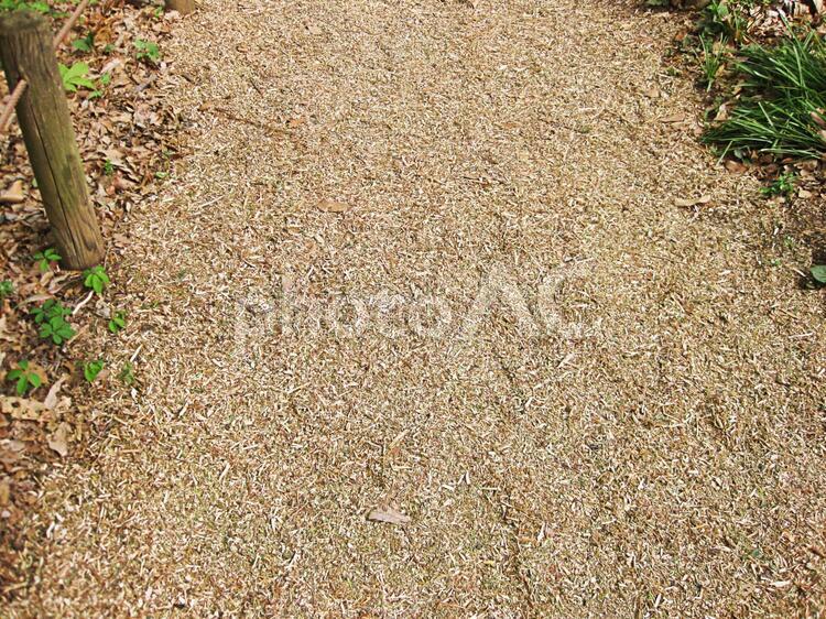 遊歩道のウッドチップ ウッドチップ,遊歩道,チップの写真素材
