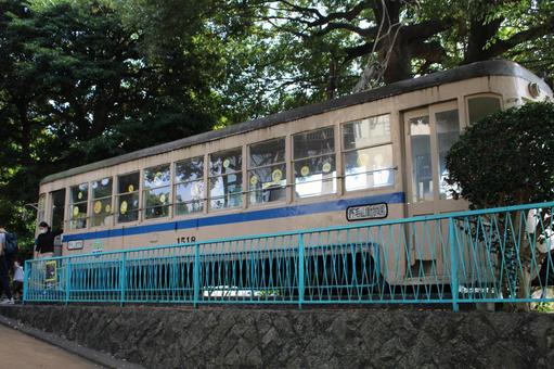 野毛山 動物園,公園,生き物の写真素材