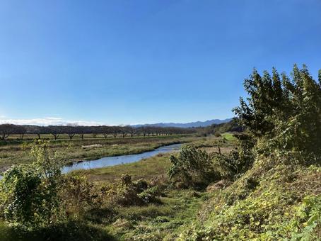 嵐山渓谷の桜並木（秋） 嵐山渓谷,嵐山,渓谷の写真素材