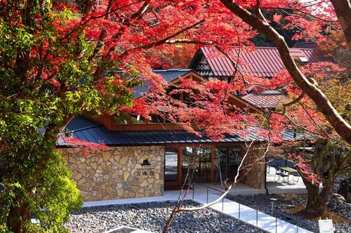 滑床渓谷万年壮 滑床渓谷,紅葉,滑床ビジターセンター万年荘の写真素材