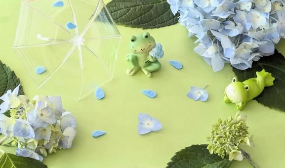 梅雨の日のカエルくん達のイメージ 梅雨の日のカエルくん達のイメージ 梅雨,梅雨入り,梅雨明けの写真素材