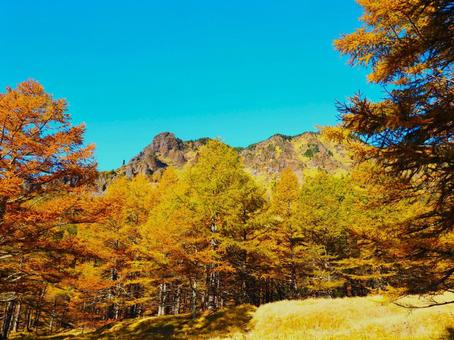 紅葉(黒斑山・浅間山) 紅葉(黒斑山・浅間山) 紅葉,もみじ,秋の写真素材