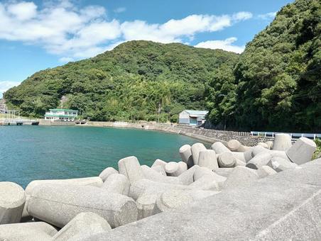 Tetrapods and the sea, JPG