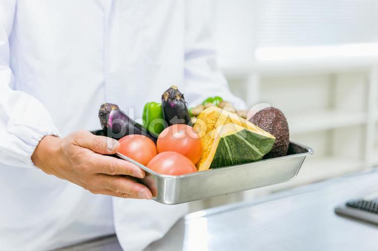 調理服を着た男性（野菜・手元） 野菜,緑黄色野菜,栄養の写真素材