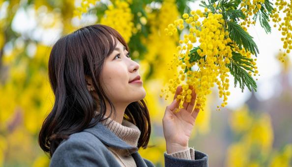 ミモザを鑑賞する日本人女性の写真