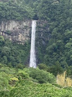 深緑に映える那智の滝 深緑に映える那智の滝の写真