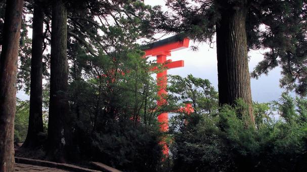 箱根神社 湖畔に立つ晩夏の平和の鳥居 箱根神社 湖畔に立つ晩夏の平和の鳥居 平和の鳥居,晩夏,箱根神社の写真素材