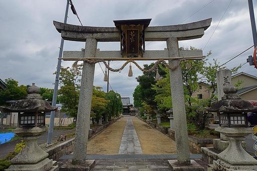 パワースポット 滋賀県 若宮神社④ 鳥居 パワースポット 滋賀県 若宮神社④ 鳥居の写真