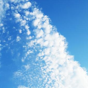 青空にひつじ雲 ひつじ雲,羊雲,雲の写真素材