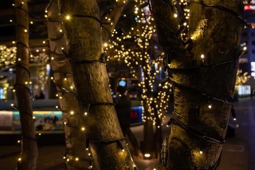 六本木のイルミネーション イルミネーション,クリスマス,ライトアップの写真素材