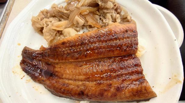 うな牛 うな牛 うな牛,ウナギ,鰻のかば焼きの写真素材