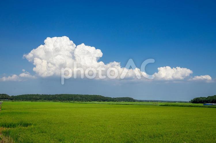 田園風景 田園風景,田舎,田舎暮らしの写真素材