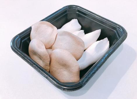 エリンギ エリンギ,フード,トレイの写真素材