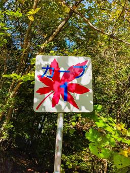 もみじラインのカーブその一 もみじライン,秋,カーブの写真素材