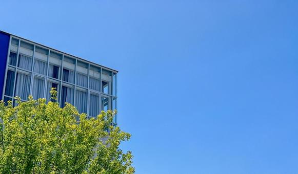 青空と樹木とビル 青空と樹木とビル ビル,建物,テナントビルの写真素材