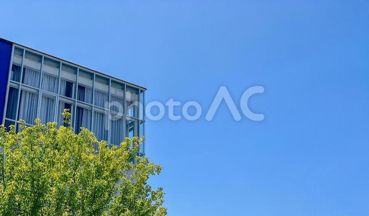 青空と樹木とビル ビル,建物,テナントビルの写真素材
