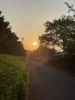 朝焼けの公園 朝焼けの公園の写真