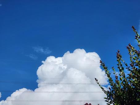 夏空と積乱雲 夏空と積乱雲 空,積乱雲,青空の写真素材