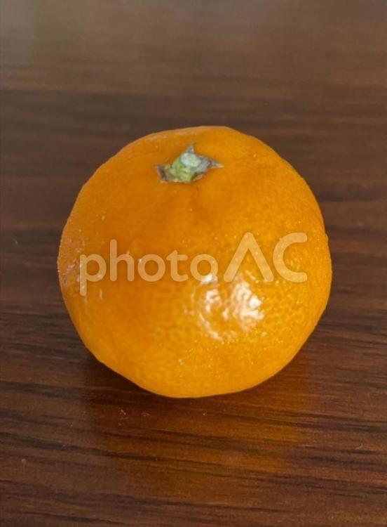R7.07.02　マーコットみかん みかん,マーコットみかん,マーコットの写真素材