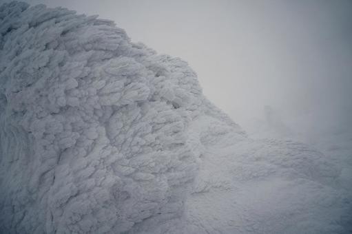 極寒の樹氷 蔵王樹氷,冬,雪の写真素材