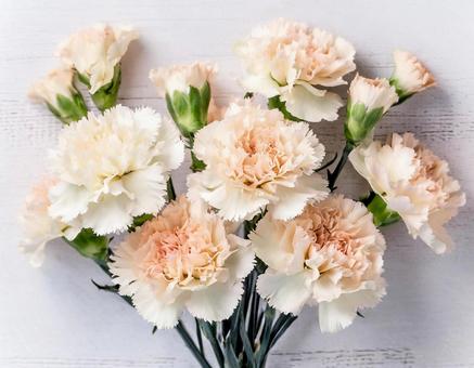 white carnation bouquet 03, JPG