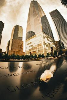 平和への祈り 薔薇,追悼,名前の写真素材