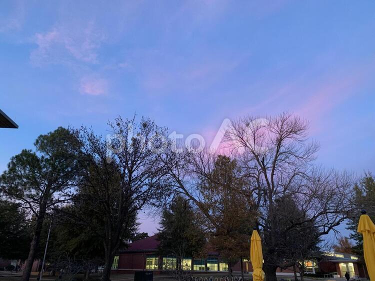 美しい風景 木,公園,風景の写真素材