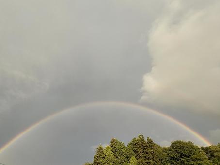 夏の二重虹 夏の二重虹の写真
