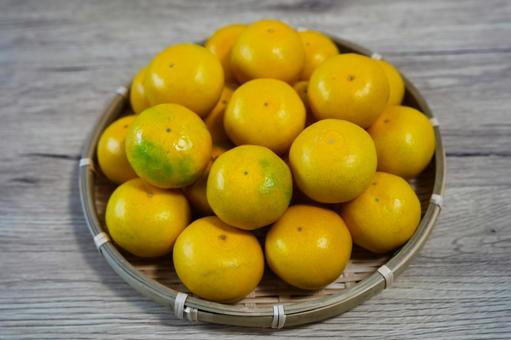 和歌山県産の希少品種・YN26みかん みかん,yn26,果物の写真素材