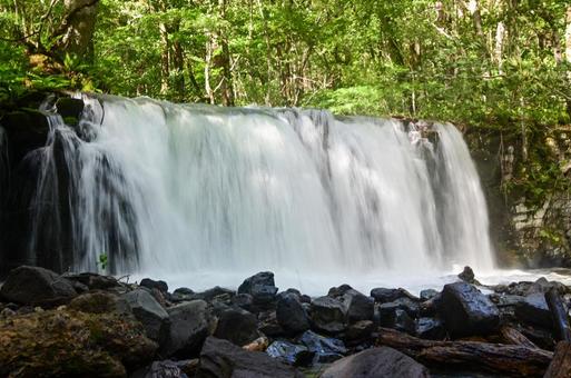 銚子大滝 銚子大滝,奥入瀬渓流,渓流の写真素材