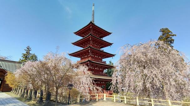 弘前市の五重塔 弘前市の五重塔の写真