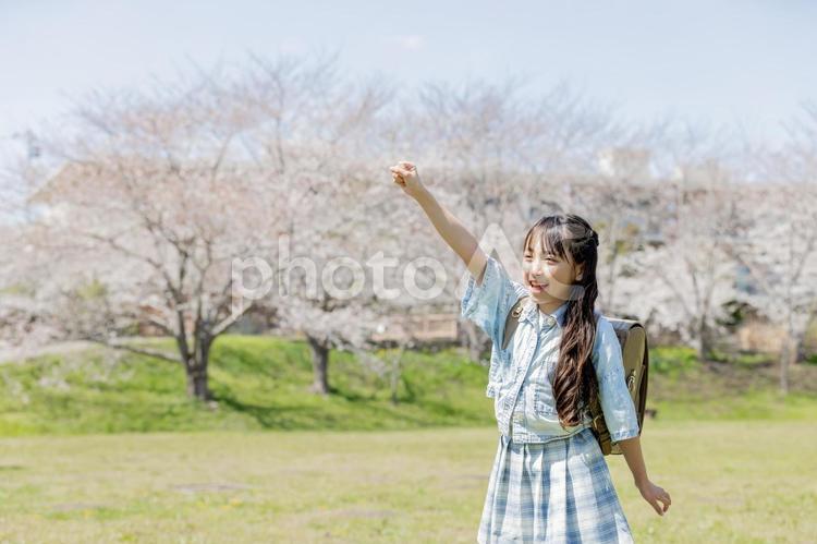 応援をする小学生 応援,声援,ガッツポーズの写真素材