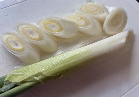カットしたネギ ネギ,食べ物,野菜の写真素材